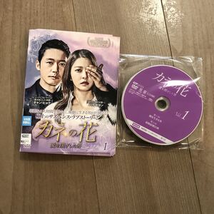 カネの花 ~愛を閉ざした男~ DVD 全19巻セット