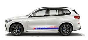 グラフィック デカール ステッカー 車体用 / BMW X5 / 2Xドアサイドバイナル ELEGANT 2色 文字入れ可能