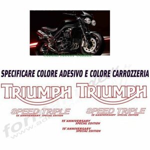 グラフィック デカール ステッカー 車体用 / トライアンフ スピードトリプル SPEED TRIPLE / 15周年記念 SPECIAL SE