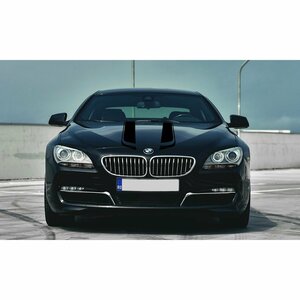 グラフィック デカール ステッカー 車体用 / BMW 6シリーズ M6 / F12 / F13 / F06 / ボンネット フード ストライプス バイナル2