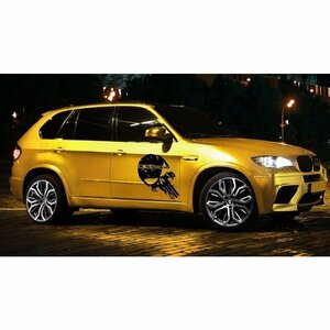 グラフィック デカール ステッカー 車体用 / BMW X5 / 2X フロント サイド ドア エアロ バイナル パニッシャー スカル デザイン