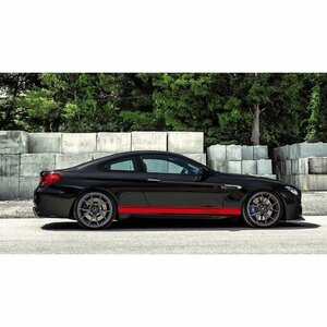 グラフィック デカール ステッカー 車体用 / BMW M6 6シリーズ / 2X アンダーサイド ドア エアロ 外装 ライン レーシング スタイル