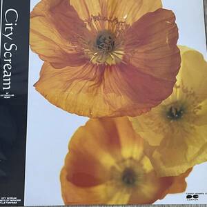 鳥山 雄司 Yuji Toriyama [City Scream - 12 Extra Club Remix] 12inch 和モノ citypop light mellow fusion シティポップ ライトメロウ