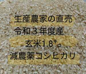 令和3年　千葉県産コシヒカリ玄米1.8キロ　減農薬 伝ちゃん農園