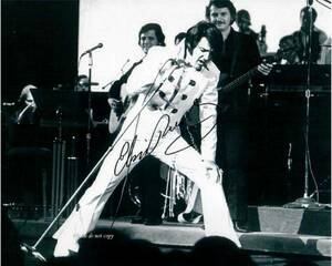 ELVIS ON TOURの情報