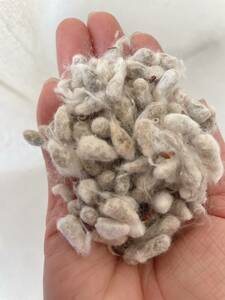 . charge feed cotton real 30kg