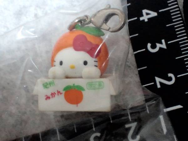 山口限定 ご当地 限定 フルーツバージョン 果物 夏みかん ハロー