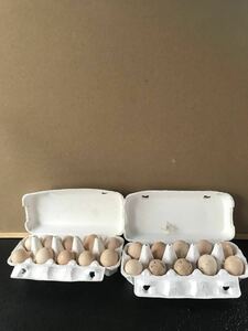 ニワトリ　鶏　 種卵20個 有精卵