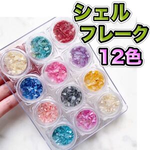 シェルフレーク 12色セット 粗め シェル 夏ネイル ネイルアート チップ ハンドメイド ジェルネイル マニキュア 貝殻