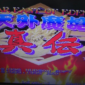 MVS　天外魔境真伝　NEOGEO　ROM　動作確認済み