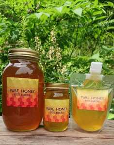 国産 純粋 蜂蜜 生はちみつ 500g2本 パウチ容器