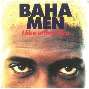 バハ・メン(BAHA MEN) / I like What I like ディスクに傷有り CD