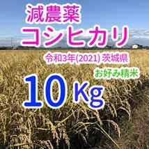 コシヒカリ 10kg 減農薬 茨城県 令和3年(2021) 米 おこめ 玄米(白米可)_画像1