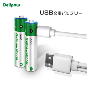 「WASHODO」DELIPOW 単四 2本セット USB充電式電池 1.5V 1000mAh リチウム イオンバッテリー USBケーブル 安心保証付き[800-0118C]