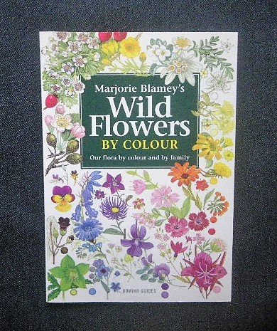 ⑥②⑨フランス語植物図鑑 花図鑑 洋書 古書 ボタニカルアート www