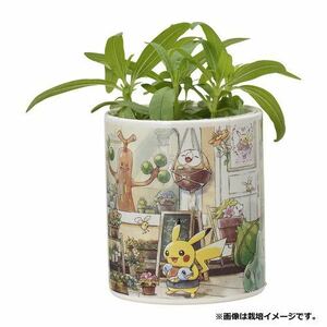 ポケモンセンター 栽培セット Pokemon Grassy Gardening 白のジニア プランター ポット 植木鉢 ポットカバー 陶器 鉢カバー