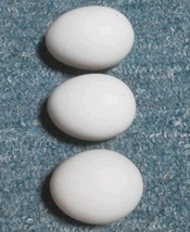 真黒矮鶏 種卵3個（2個プラス補償1個）しんくろチャボ 孵化用 有精卵 シンクロチャボ 真黒チャボ _画像6