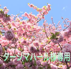 ドテラ エッセンシャルオイル 小分け