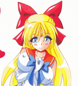 同人手描きイラスト★【 美少女戦士セーラームーン / セーラーヴィーナス / 愛野 美奈子】 ★B5紙