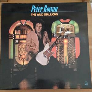 PETER ROWAN & THE WILD STALLIONS