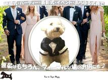 ペット用タキシード（黄緑・XLサイズ）犬　正装服　コスチューム_画像6