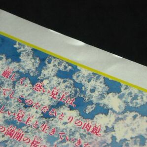 大前田りん◆十六桜◆1992年初版の画像7