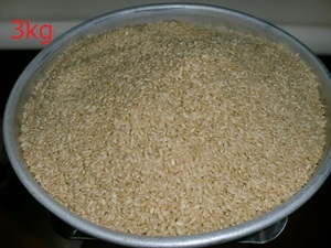 令和2年度　水稲うるち玄米　熊本県産　ヒノヒカリ　3kg