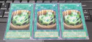 孵化 TB-18 遊戯王OCG Thousand Eyes Bible 千眼の魔術書