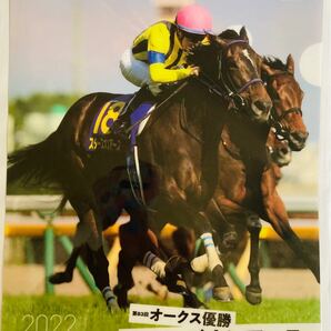 JRA オークス優勝馬　スターズオンアース　クリアファイル