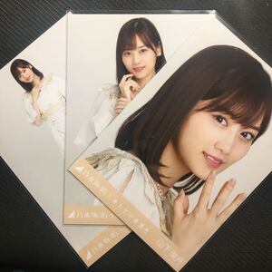 乃木坂46 山下美月 しあわせの保護色 生写真 コンプ