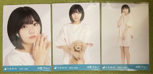 乃木坂46 生写真 夏パジャマ 中西アルノ コンプ