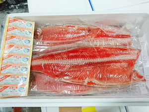 定塩紅鮭フィーレ 8kg 約8-11枚 さけ サケ 鮭 べにさけ ベニサケ べにざけ ベニザケ 紅鮭 フィレー 汐紅鮭 塩紅鮭 【水産フーズ】