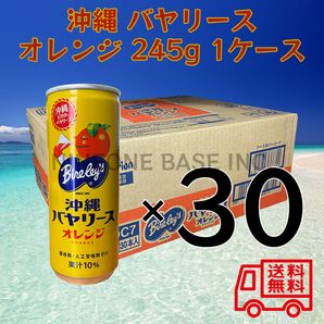 沖縄バヤリース オレンジ 245g 1ケース 30本 果汁10% 沖縄限定