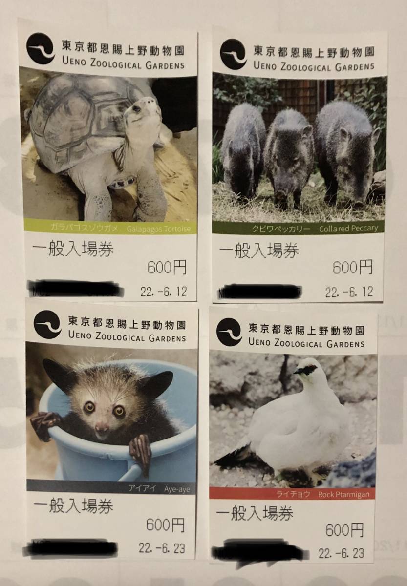 上野動物園入場券・2枚 UVwZFb51at, 動物園 - contrologypf.com