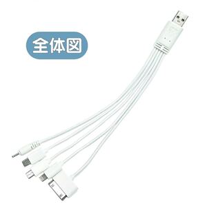 USBケーブル 5in1 充電 minib microb lightning ライトニング