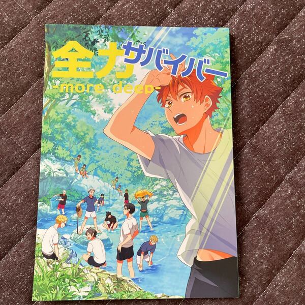 ハイキュー 同人誌 ソラノ 全力サバイバー