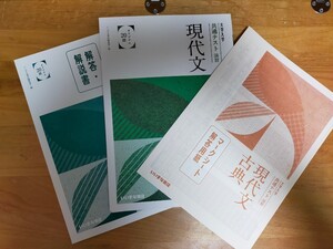 共通テスト対策 現代文 いいずな書店