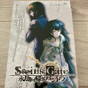 STEINS；GATE (シュタインズゲート) 永劫回帰のパンドラ ドラマCD付き初回限定版 （書籍） [5pb.]