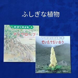 かがくのとも せいたかだいおう マングローブ 2冊セット 福音館