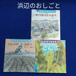 かがくのとも　お仕事の絵本　かつおぶしのまち　こんぶのはまべ　こんぶ　 福音館