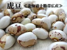 虎豆 450g (北海道十勝帯広産トラ豆) 北海道産とら豆【メール便対応】_画像2