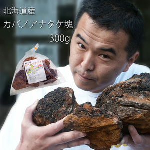 カバノアナタケ茶 塊 ≪原体≫ 300g 北海道産チャーガ茶100% ≪かばのあなたけ茶≫【健康茶】樺孔茸茶 【メール便対応】