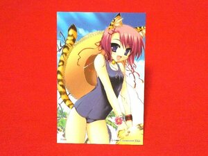 とらのあな2006夏非売品カードトレカ片桐雛太