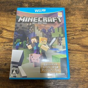 WiiU マインクラフト Minecraft