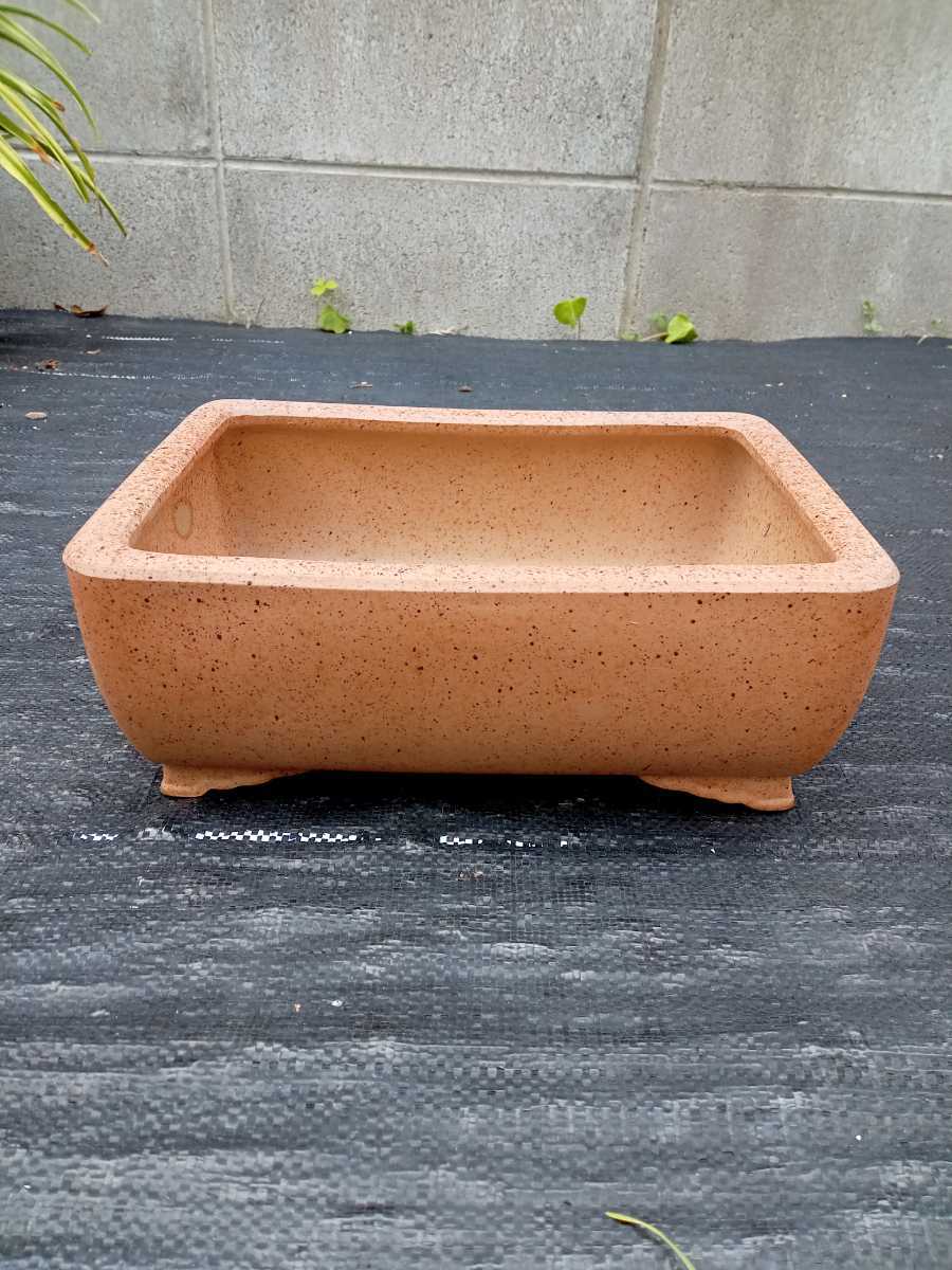 をよくご ヤフオク! - 盆栽鉢 山房造 常滑楕円鉢 れなどあり - mcmc.gr