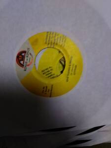 Wicked Roots Track Live Wire Riddim Single 4枚 Set from Kings of Kings Cecile Gyptian Lukie D Lutan Fyah