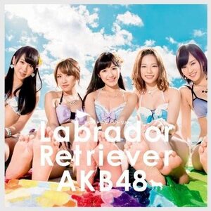 【中古】ラブラドール・レトリバー(Type A)(初回限定盤)(DVD付) / AKB48 c12322【中古CDS】