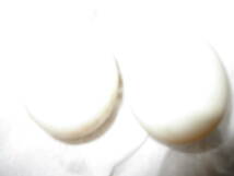 コールダック　2個　異血　白×白黒　有精卵　（7月6,7日)産卵_画像3