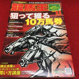 h-069 horse racing .2010/11.....10 ten thousand horse ticket Heisei era 22 year 11 month 1 day issue no. 18 volume no. 6 number through volume 186 number *14