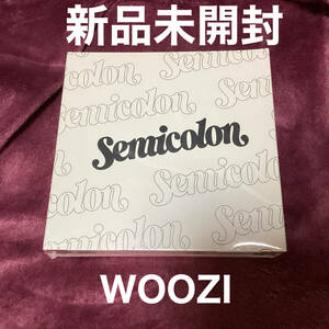 新品未開封　CD セミコロン　WOOZI バージョン　SEVENTEEN Special Album '; [Semicolon]'